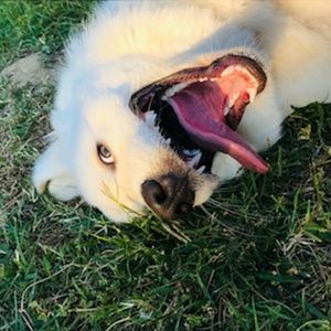 Meet your Posher, Catherine